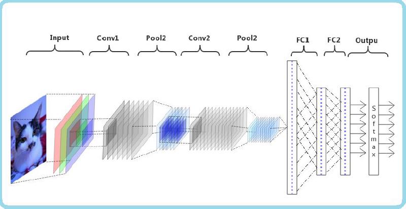 Featured image of post 神经网络视觉基础
